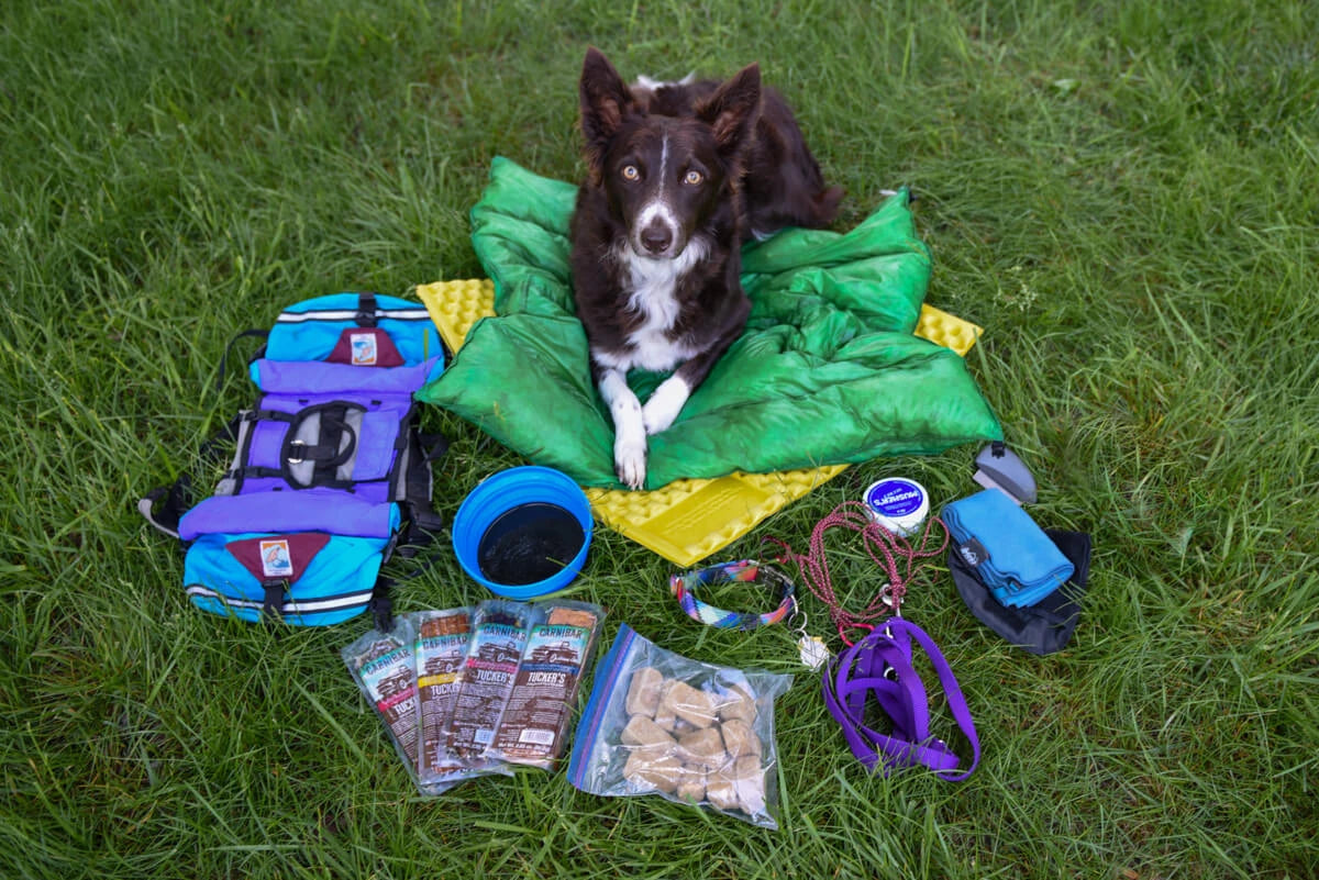 Tucker's carnibar store
