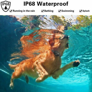 Canine ™ | Waterproof Dog Training Collar