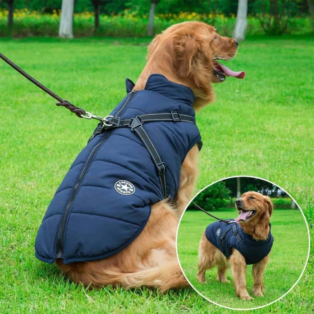 DogSki Sport™ - Waterproof Jacket Harness - Agora Pet Supply