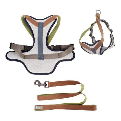 Tone™ - Dog Harness & Leash Set - Agora Pet Supply