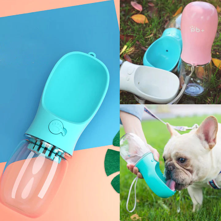 Basin™ - Portable Pet Water Bottle - Agora Pet Supply