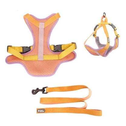 Tone™ - Dog Harness & Leash Set - Agora Pet Supply