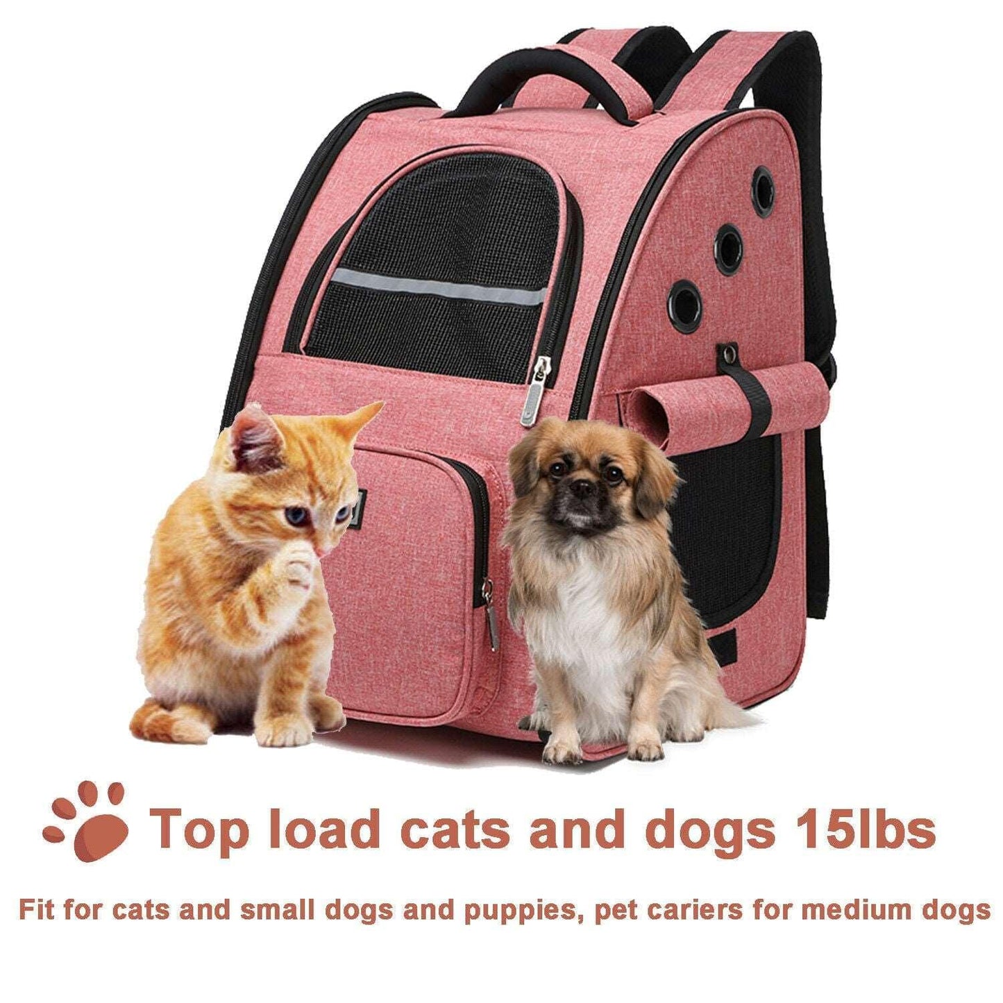 Collapsible™ - Pet Carrier Dual Side Zippered Entry ways - Agora Pet Supply