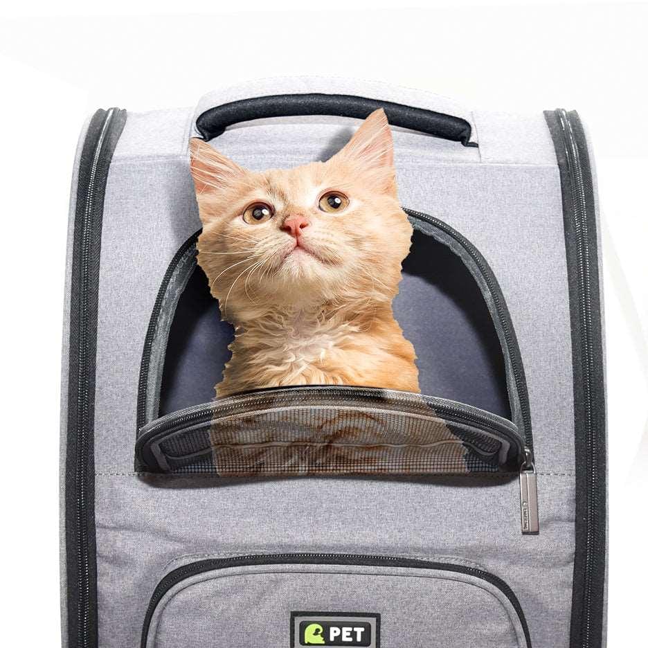 Collapsible™ - Pet Carrier Dual Side Zippered Entry ways - Agora Pet Supply