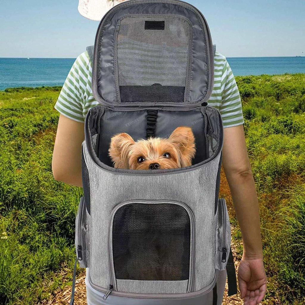 Lithe™ - Pet Travel Rolling Wheeled Carrier Backpack - Agora Pet Supply