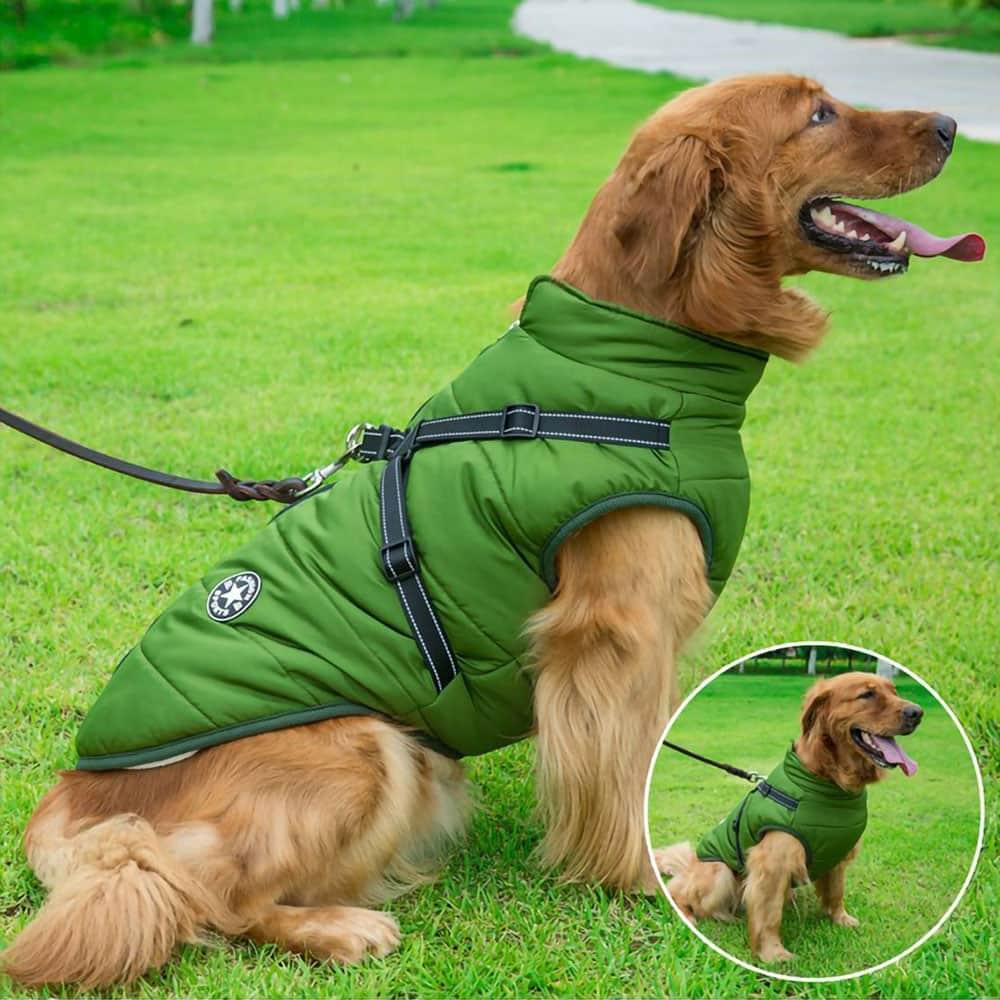 DogSki Sport™ - Waterproof Jacket Harness - Agora Pet Supply