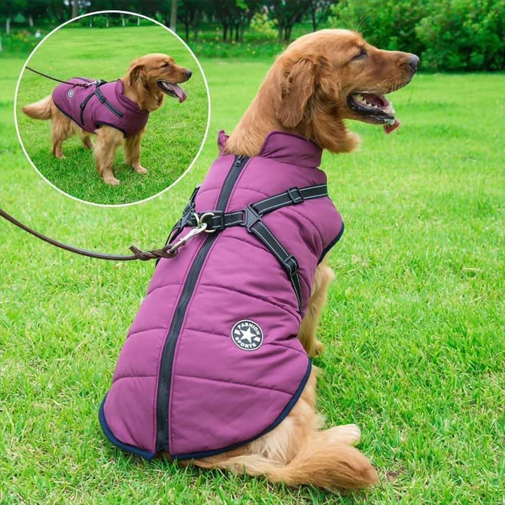 DogSki Sport™ - Waterproof Jacket Harness - Agora Pet Supply