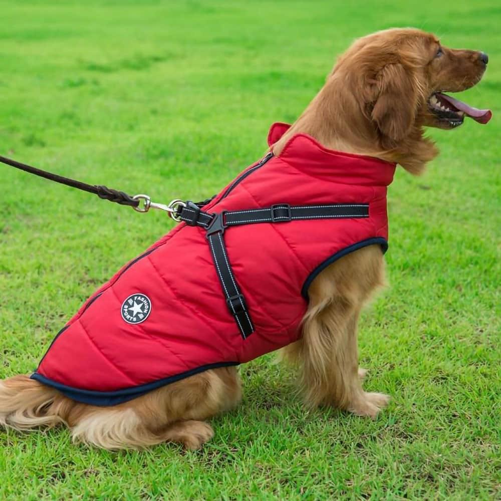 DogSki Sport™ - Waterproof Jacket Harness - Agora Pet Supply